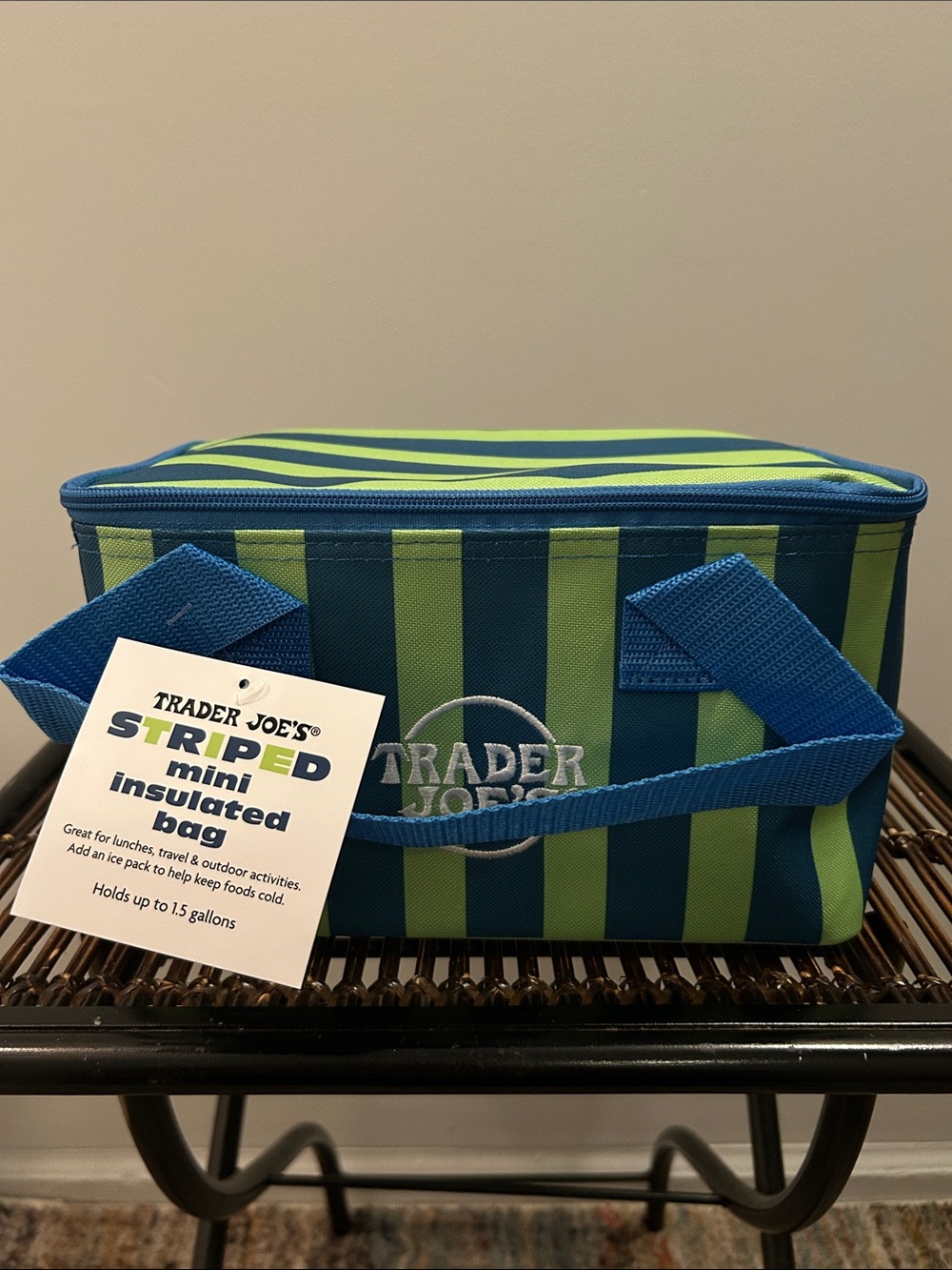 Striped Mini Insulated Bag - Blue & Green